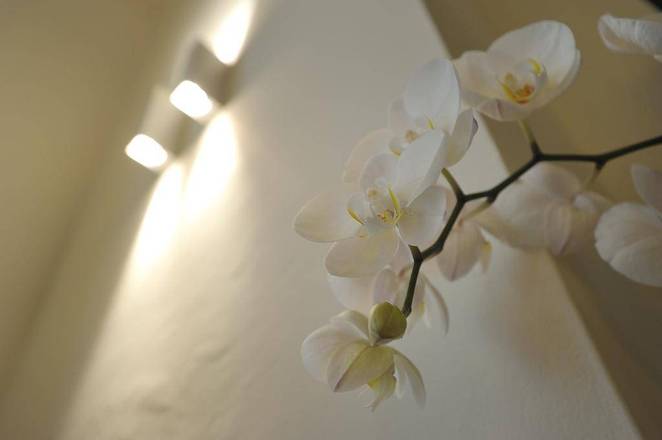 B&B La Dimora Degli Angeli, Florence
